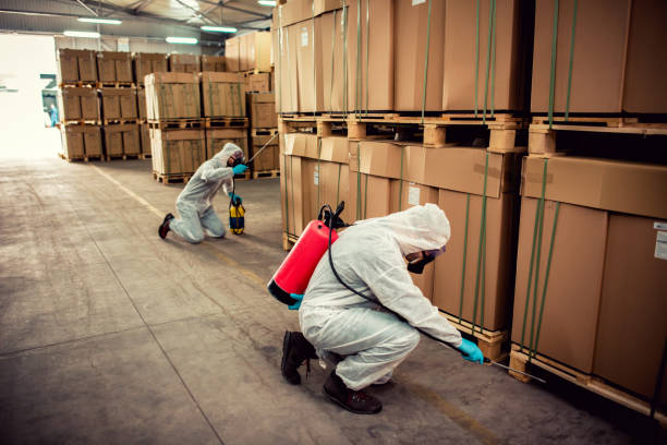 Best Pest Control Near Me in Oglesby, IL