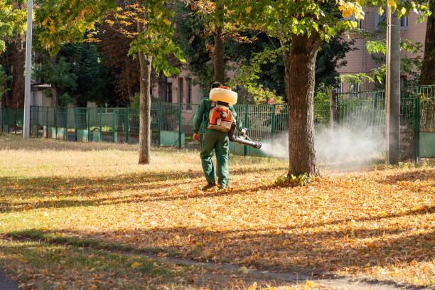 Best Affordable Exterminators  in Oglesby, IL
